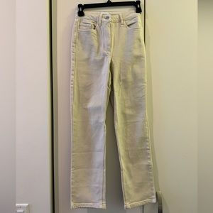 Aritzia Pant